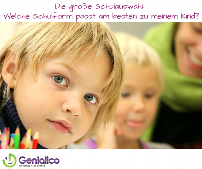 Schule, Schulform
